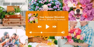 Lifestyle—BC—Summer Playlist—Blog Header