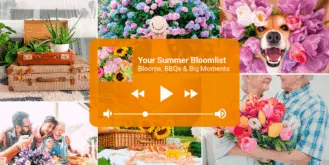 Lifestyle—BC—Summer Playlist—Blog Header
